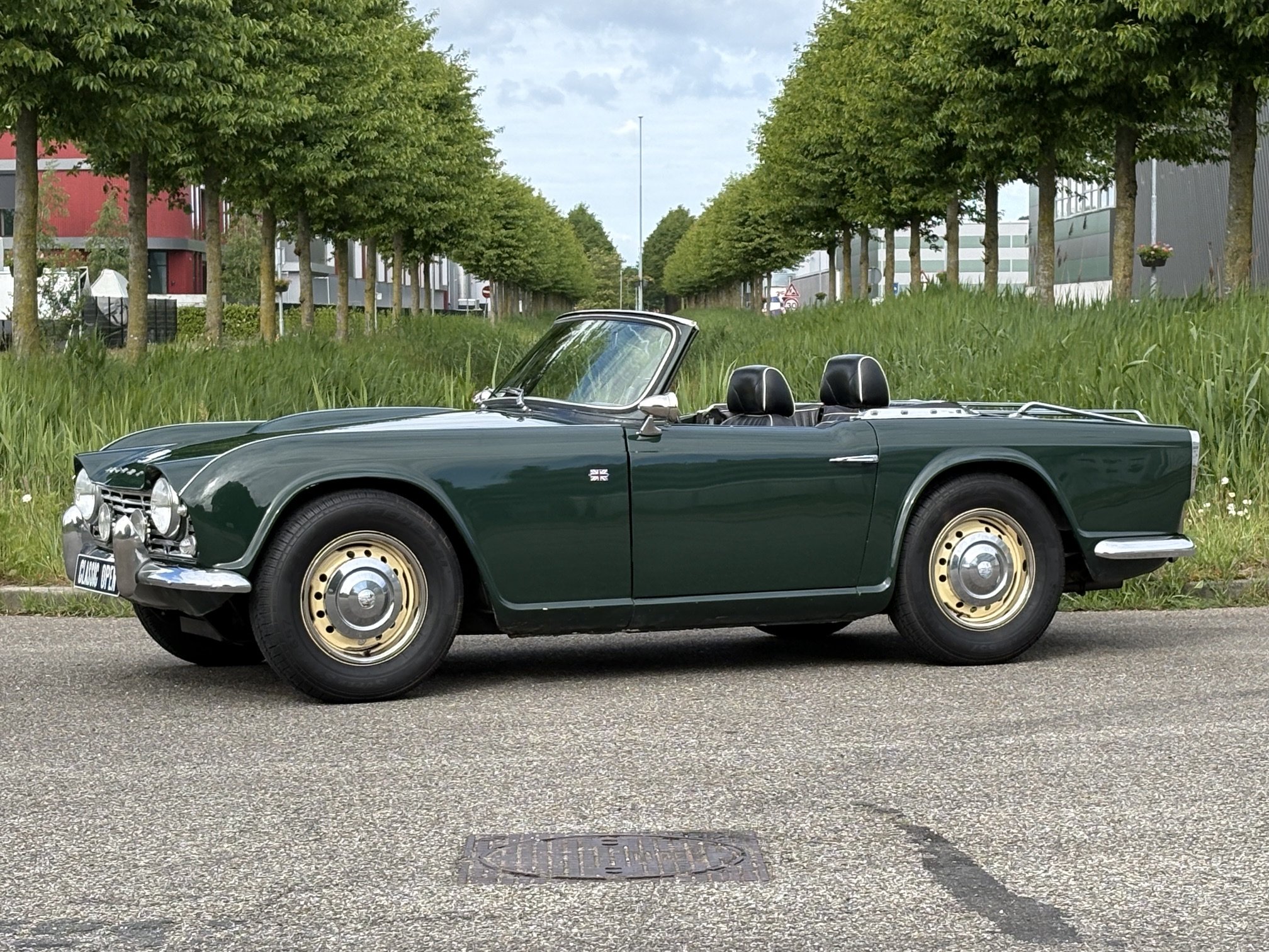 Triumph  TR4  