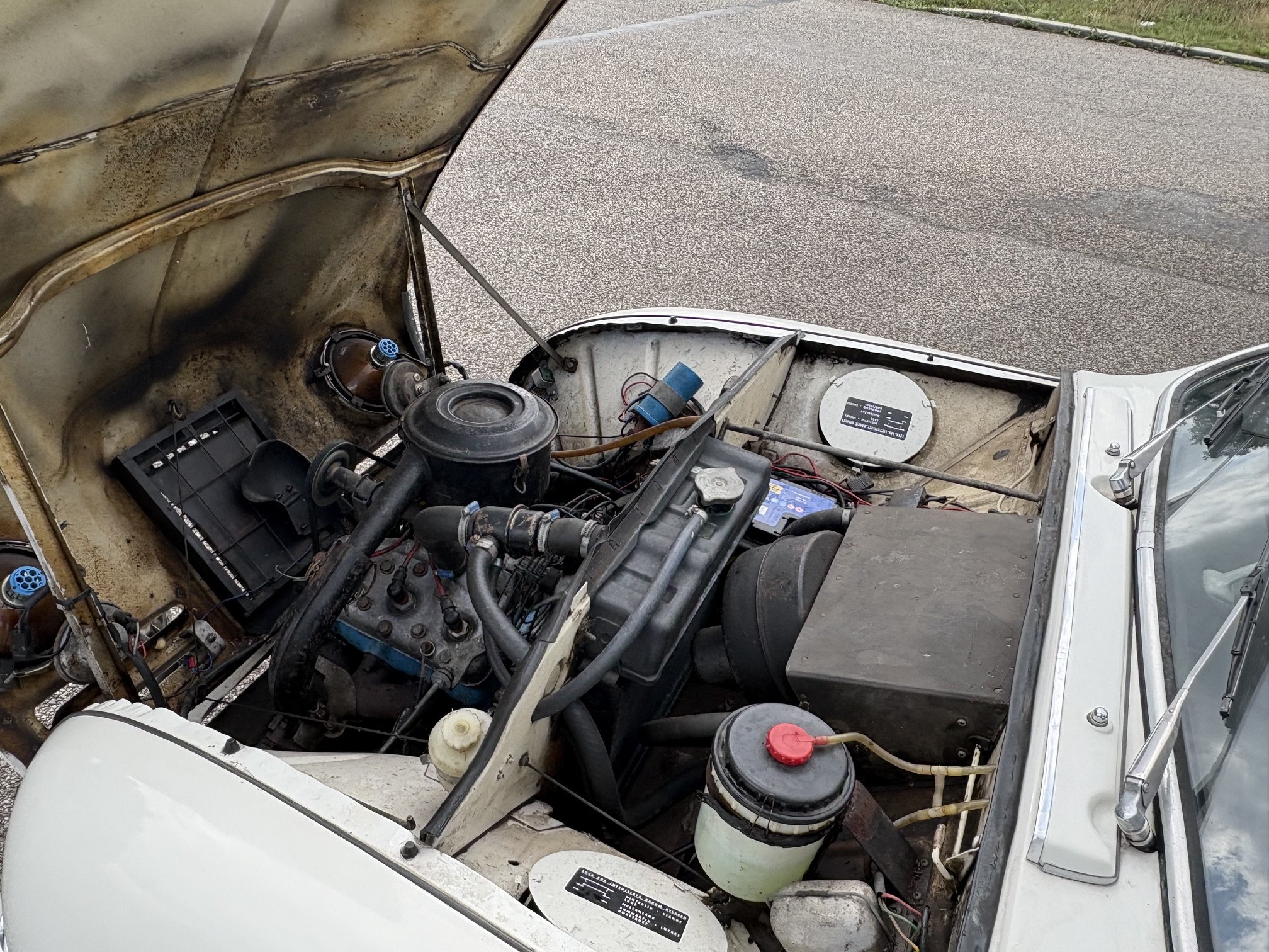 Saab 96 850 Bull Nose